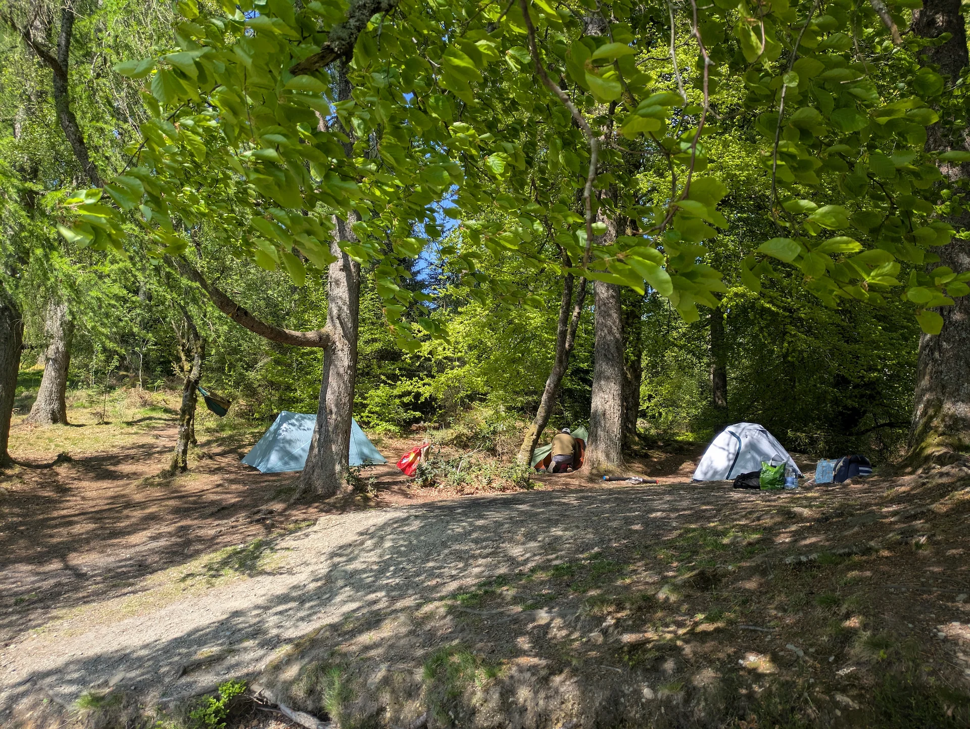 Trossachs Camp